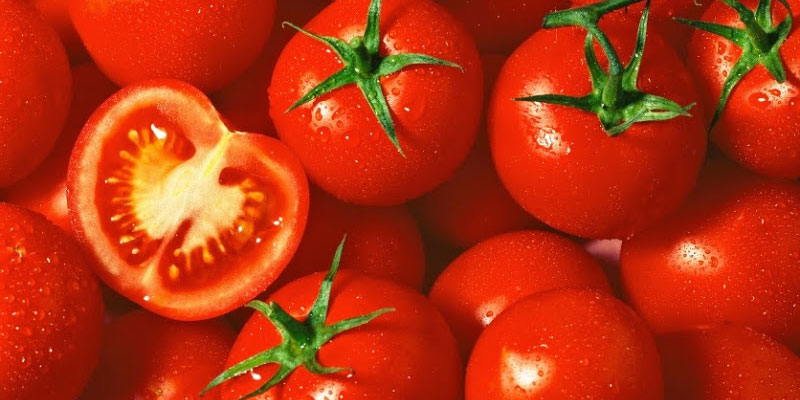 Cà chua chín chống lại tác nhân gây hại vùng da non sau tiểu phẫu