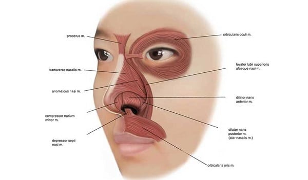60 tuổi nâng mũi được không